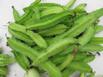 Đậu Rồng